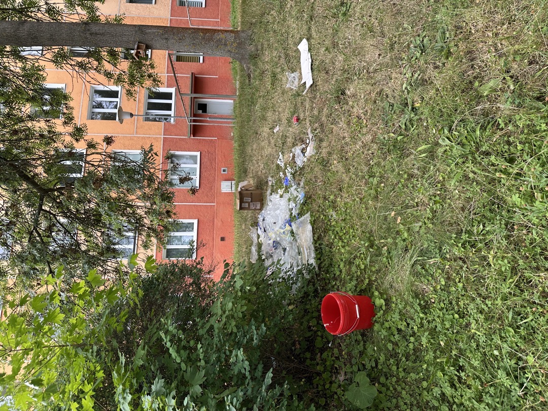 Odpadky (černá skládka) 