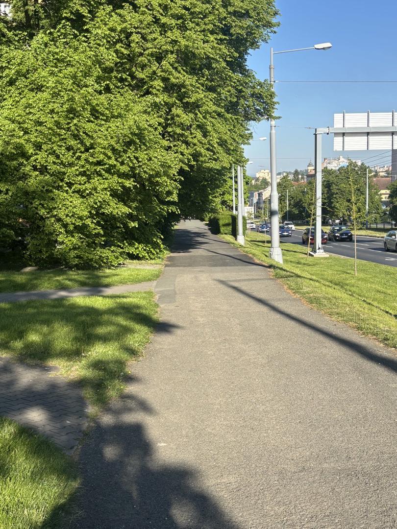 Kvalita údržby zeleně v Lobzích